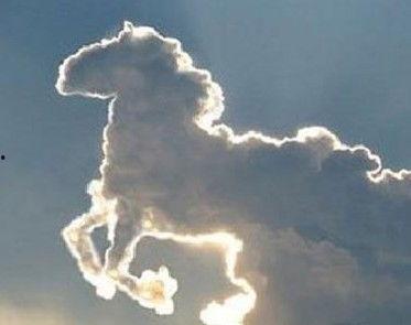 神马都是浮云,探寻人生无常的真谛