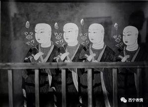 心跳回响,探寻生命律动的奥秘