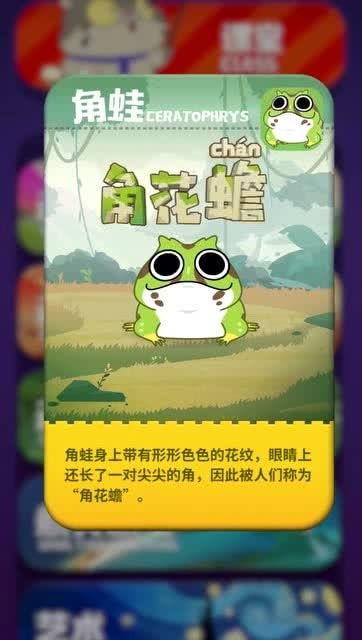 以我为饵,揭秘网络诈骗背后的陷阱与防范策略