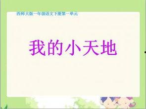 我的小天地,一场心灵与自然的邂逅之旅