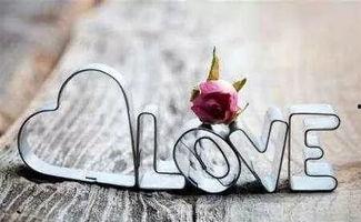 愿你被爱,拥抱温暖人生