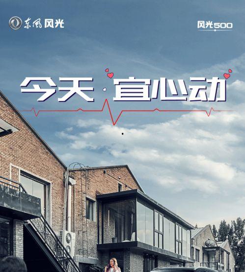 今日宜心动,捕捉生活中的美好瞬间