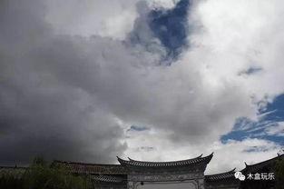 第八天,探索未知，迈向新篇章