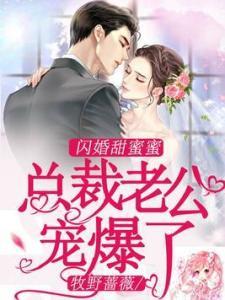 相亲失败后我拉着总裁闪婚了,总裁，我们闪离吧！