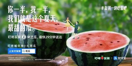娱乐吃瓜常用文案,明星们的幕后故事与八卦风云